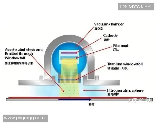 上海乒乓球队运营分析：成功经验与未来挑战的深度探讨