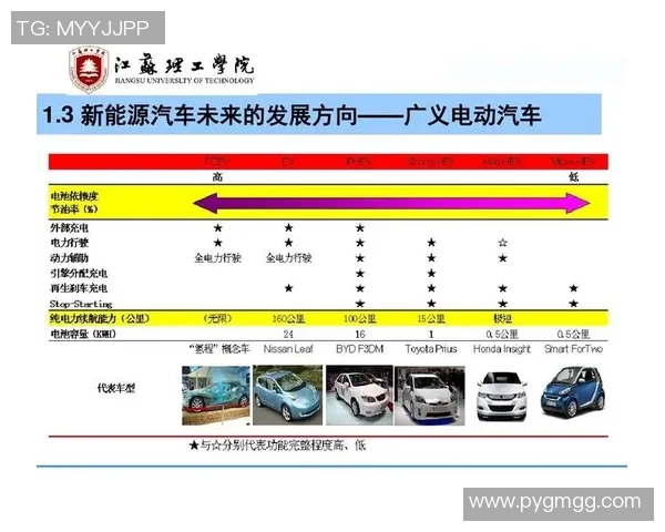 南京足球队实力解析：聚焦球队发展与未来展望