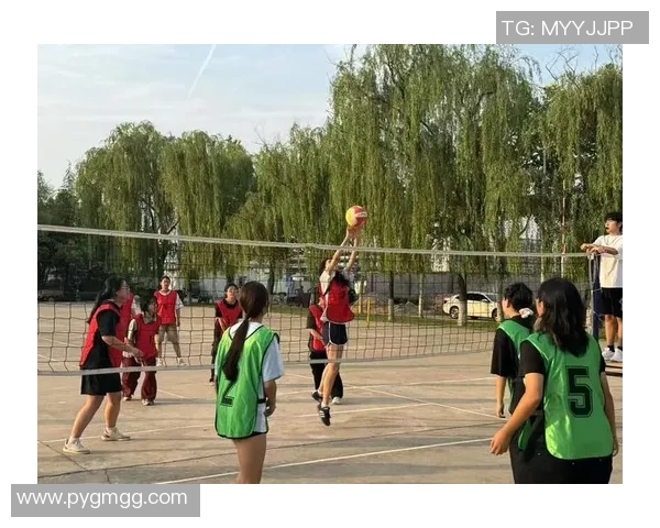 西安排球队逆袭之旅揭秘洲际杯背后的奋斗与荣耀