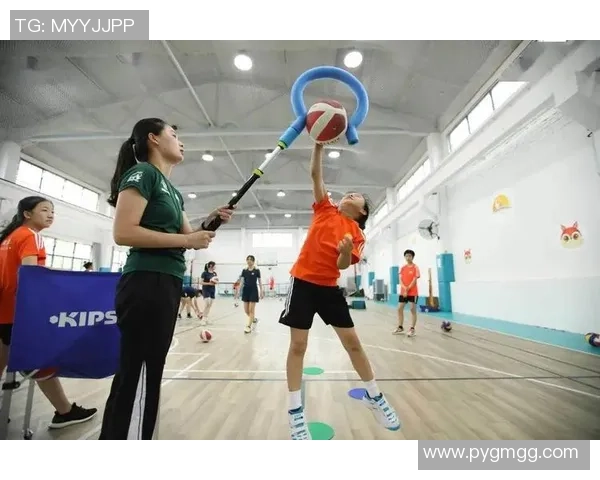 南京排球队的灵活性探讨与训练策略分析