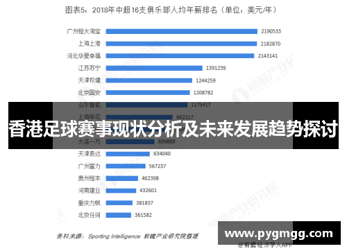 香港足球赛事现状分析及未来发展趋势探讨