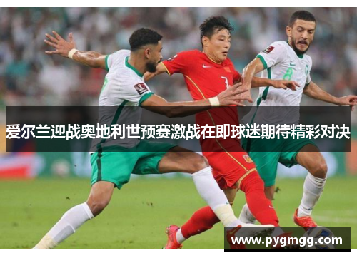 爱尔兰迎战奥地利世预赛激战在即球迷期待精彩对决