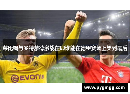 菜比锡与多特蒙德激战在即谁能在德甲赛场上笑到最后