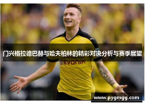 门兴格拉德巴赫与哈夫柏林的精彩对决分析与赛季展望